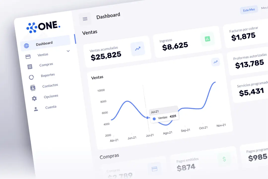 Desarrollo de SAAS personalizado enfocado en PYMES
